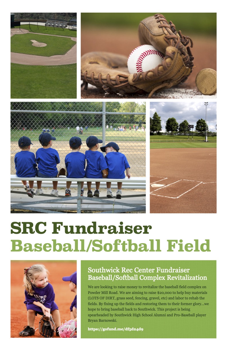 Baseball_Revitalization